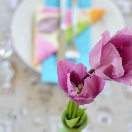 Apartment Elza زادار المظهر الخارجي الصورة