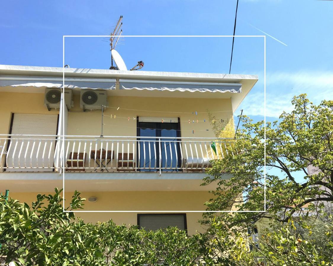 Apartment Elza زادار المظهر الخارجي الصورة