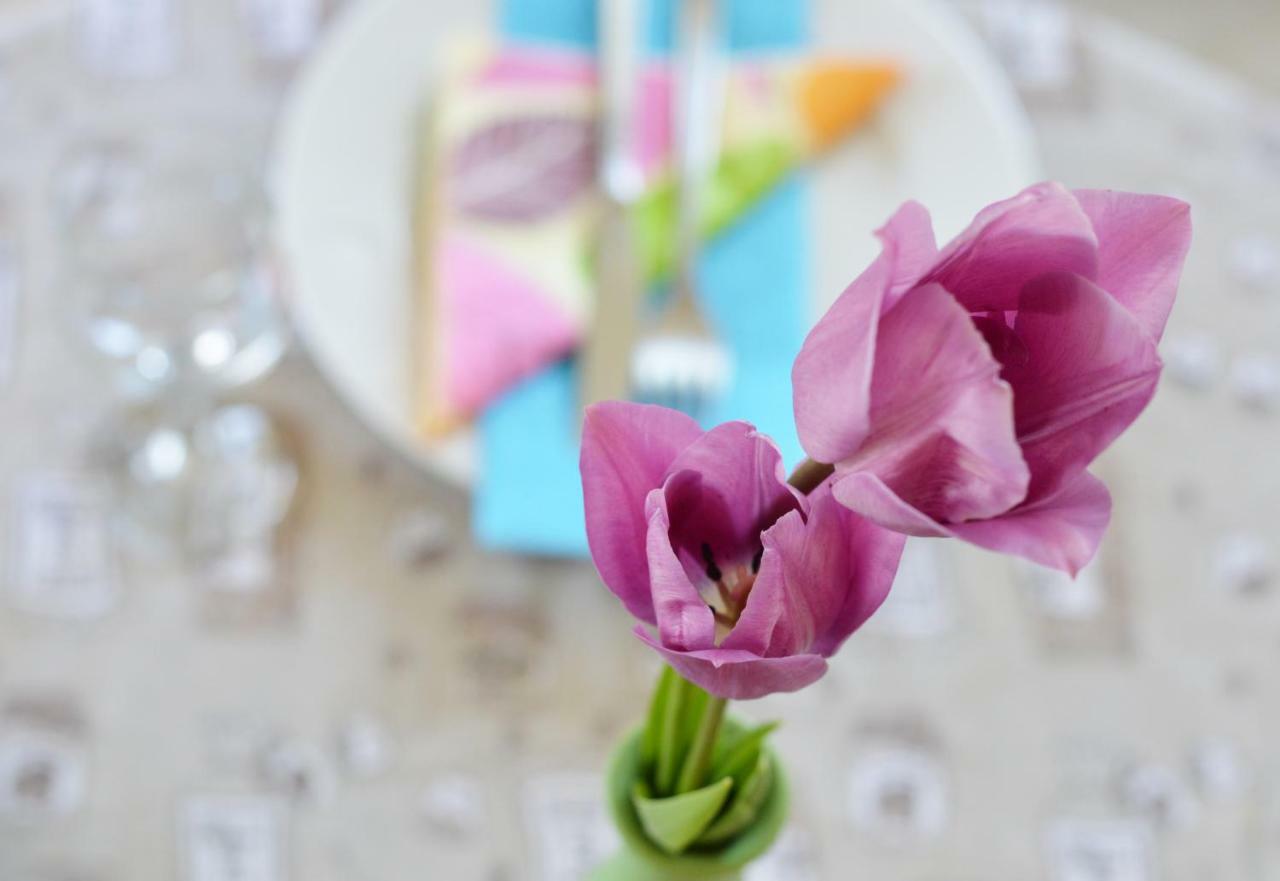 Apartment Elza زادار المظهر الخارجي الصورة
